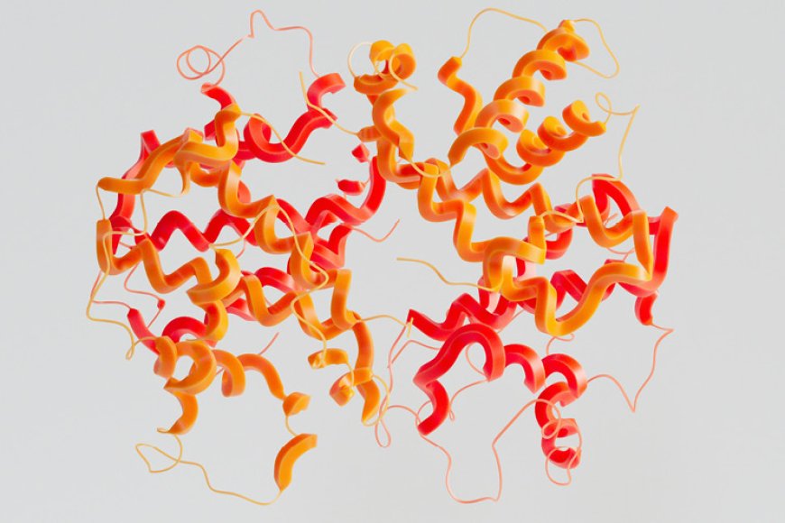 CoQ10 and brain fog Bacchusgamma