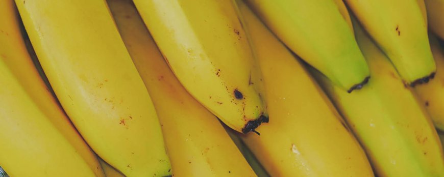 Une banane par jour est-elle bonne pour vous ?