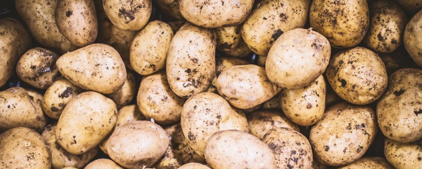 What is the 30 day potato diet?