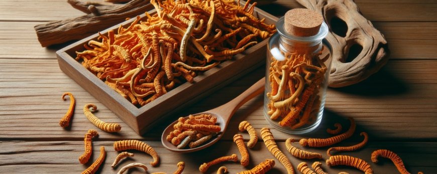 Can cordyceps protect the kidneys?